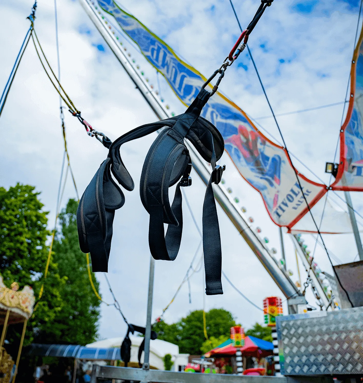 Mažoji šokdynė - nuotrauka 2